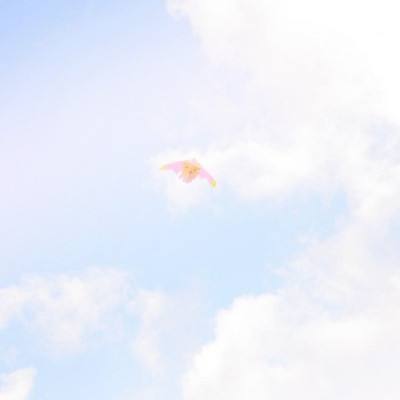 新华社：中美经贸北京磋商传递的信号