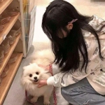有哪些途径可以方便地投诉企业？这几种渠道帮你高效维权